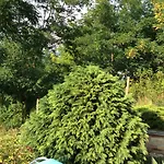 For Rent Near Budapest Maison d'hôtes 4*