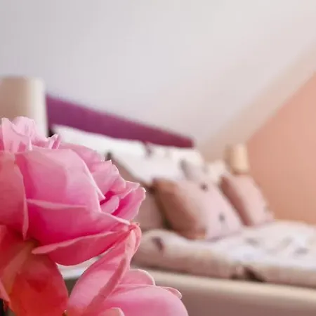 For Rent Near Budapest * Etyek