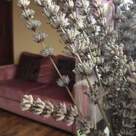 For Rent Near Budapest 4*