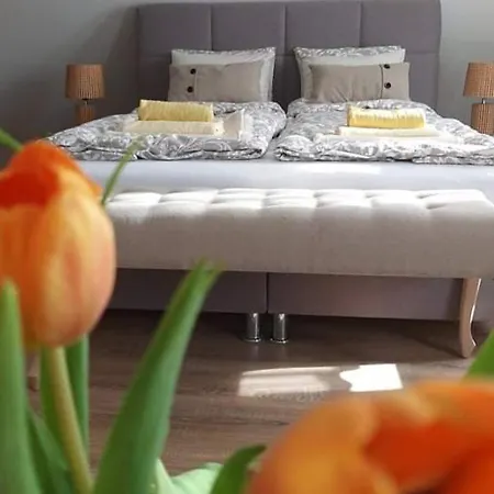 Apartments For Rent Near Budapest Guest house Etyek