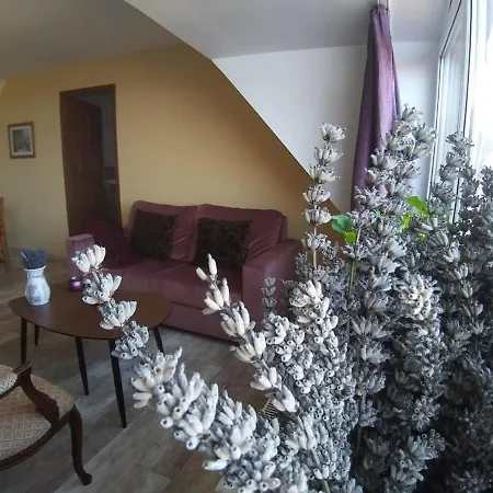 Apartments For Rent Near Budapest