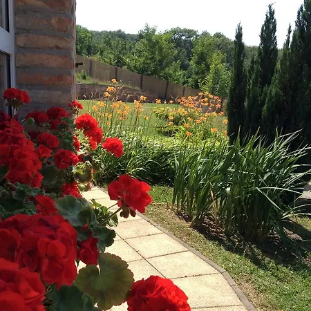 Pensiune For Rent Near Budapest Etyek