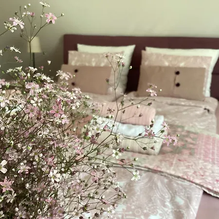 Guest house Apartments For Rent Near Budapest *