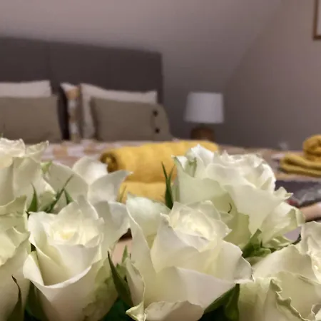 Apartments For Rent Near Budapest Etyek