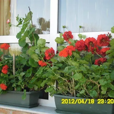 Pensiune For Rent Near Budapest