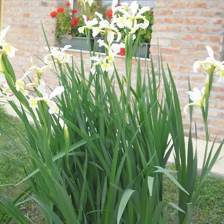 For Rent Near Budapest 4* Etyek