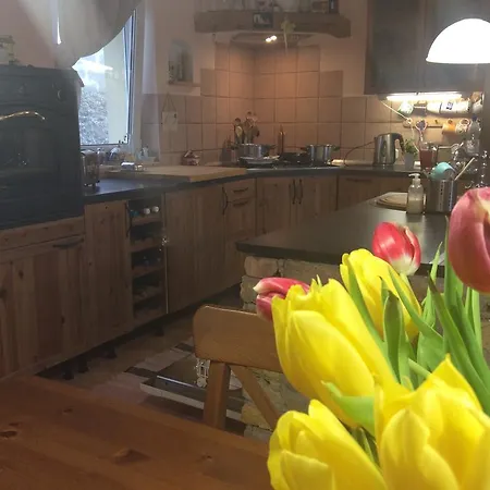 Pensiune For Rent Near Budapest 4*