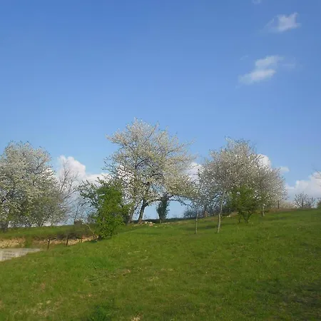 Pensiune For Rent Near Budapest Etyek