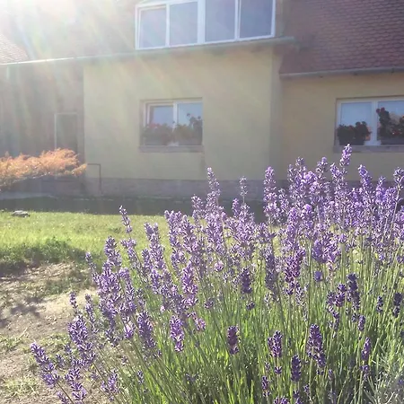 Vendégház For Rent Near Budapest 4*