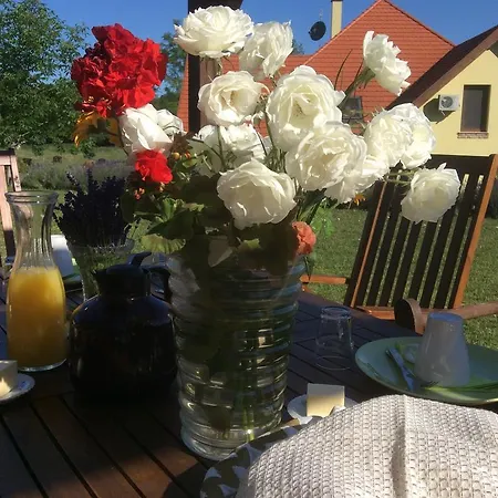 Pensiune For Rent Near Budapest Etyek