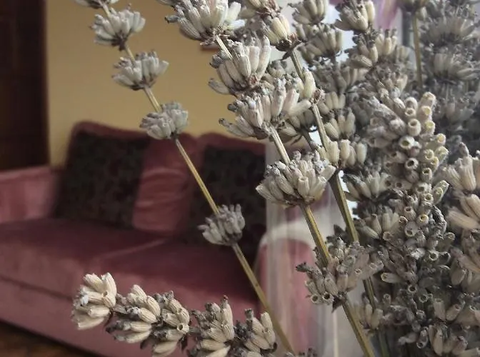 For Rent Near Budapest 4*