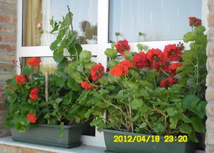 게스트하우스 For Rent Near Budapest
