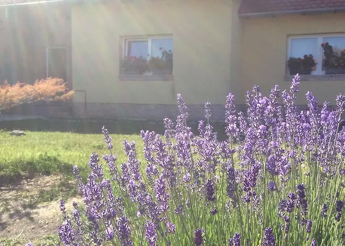 게스트하우스 For Rent Near Budapest 4*