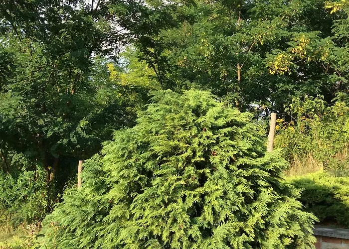 For Rent Near Budapest 게스트하우스 4*